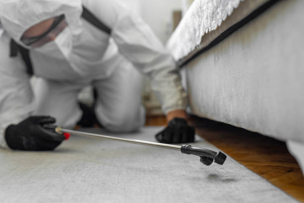 Professional Bed Bug Control technician working in Aviston, IL
